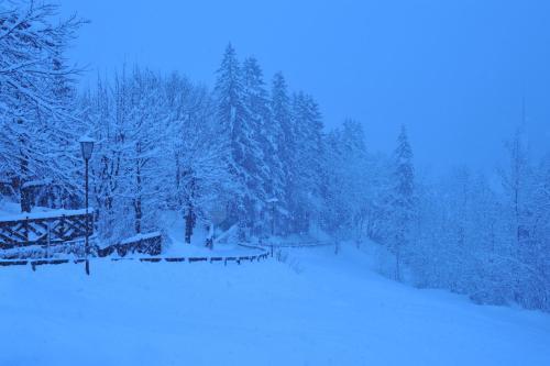 Hotel Garni Carpe Diem